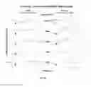 Fig. 22 - Systems and methods for the screening and monitoring of inner ear function