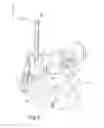 Fig. 03 - Mobile base and X-ray machine mounted on such a mobile base
