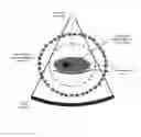 Fig. 01 - Method for spectral CT local tomography