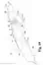 Fig. 19 - Surgical device