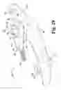 Fig. 28 - Surgical device