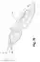 Fig. 29 - Surgical device
