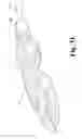 Fig. 30 - Surgical device