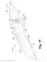 Fig. 19 - Surgical device