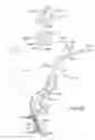 Fig. 41 - Enhanced efficacy lung volume reduction devices, methods, and systems
