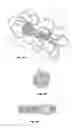 Fig. 14 - METHODS AND APPARATUS FOR TREATING PULMONARY EMBOLISM