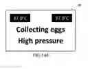 Fig. 18 - IVF egg collection chamber