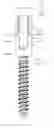 Fig. 01 - Spinal implant and device for spinal fixing
