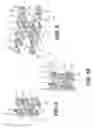 Fig. 07 - Spinous process fixation system and methods thereof