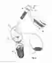 Fig. 06 - SET OF DENTAL COMPONENTS