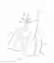 Fig. 02 - Dental prosthesis for cattle
