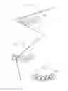 Fig. 03 - Dental prosthesis for cattle