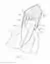Fig. 06 - Dental prosthesis for cattle