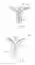 Fig. 35 - Urological device