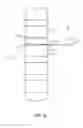 Fig. 09 - SPINAL IMPLANT SYSTEM AND METHOD