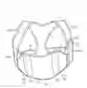 Fig. 01 - STERNUM SUPPORTING HARNESS