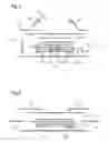 Fig. 04 - Absorbent article with core-to-backsheet glue pattern comprising two glues