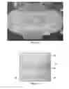 Fig. 04 - ABSORBENT ARTICLE HAVING PERFORMANCE SIGNALS