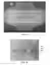 Fig. 07 - ABSORBENT ARTICLE HAVING PERFORMANCE SIGNALS