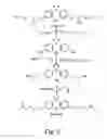 Fig. 06 - Compositions and methods for bioactive dental composites