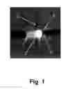 Fig. 02 - Curable dental material