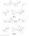 Fig. 02 - Small molecule inhibitors of Dusp6 and uses therefor
