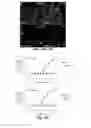 Fig. 10 - Small molecule inhibitors of Dusp6 and uses therefor