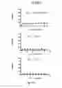 Fig. 14 - Small molecule inhibitors of Dusp6 and uses therefor