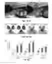 Fig. 17 - Small molecule inhibitors of Dusp6 and uses therefor