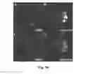 Fig. 19 - Small molecule inhibitors of Dusp6 and uses therefor