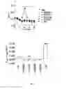 Fig. 04 - Compounds as modulators of a mutant CFTR protein and their use for treating diseases associated with CFTR protein malfunction