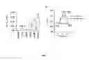 Fig. 08 - Compounds as modulators of a mutant CFTR protein and their use for treating diseases associated with CFTR protein malfunction