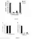 Fig. 04 - Method of managing Hepatic fibrosis, Hepatitis C virus and associated condition