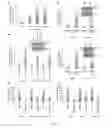 Fig. 08 - Method of treating cancer that overexpresses TopBP1