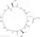Fig. 12 - Cyclic Peptidomimetic Compounds as Immunomodulators