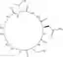 Fig. 13 - Cyclic Peptidomimetic Compounds as Immunomodulators