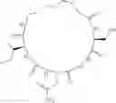 Fig. 16 - Cyclic Peptidomimetic Compounds as Immunomodulators