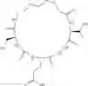 Fig. 24 - Cyclic Peptidomimetic Compounds as Immunomodulators