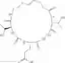 Fig. 25 - Cyclic Peptidomimetic Compounds as Immunomodulators