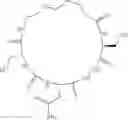 Fig. 31 - Cyclic Peptidomimetic Compounds as Immunomodulators