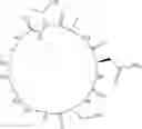 Fig. 46 - Cyclic Peptidomimetic Compounds as Immunomodulators