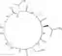 Fig. 55 - Cyclic Peptidomimetic Compounds as Immunomodulators