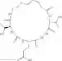 Fig. 66 - Cyclic Peptidomimetic Compounds as Immunomodulators