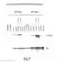 Fig. 09 - SirT INHIBITORS THAT BIND TO NAD