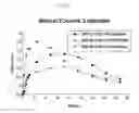 Fig. 06 - Transdermal therapeutic system for extended dosing of pramipexole in treating neurological disorders