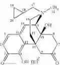 Fig. 28 - Peripheral opioid receptor antagonists and uses thereof