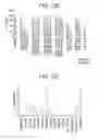 Fig. 19 - METHODS AND COMPOSITIONS FOR TREATING VIRAL OR VIRALLY-INDUCED CONDITIONS