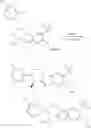 Fig. 200 - COMPOUNDS FOR USE IN TREATING RETT SYNDROME