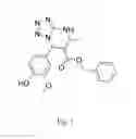Fig. 02 - Method of treating and/or preventing neurodegenerative diseases