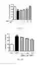 Fig. 07 - Method of treating and/or preventing neurodegenerative diseases